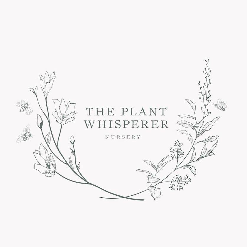 The Plant Whisperer Nursery